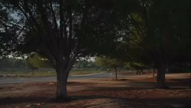 Proud to support Marriott International’s Road to Awareness annual associate cycling fundraising campaign. This year, the campaign supported the Al Jalila Foundation, making a meaningful impact on the lives of children across Europe, Africa, and the Middle East.

Now in its 17th year, the campaign remains close to our hearts.

#triathlonbike #cyclingculture #cyclemechanic #bikeservice #dubaicycling #cyclingdubai #instacycling #cyclingstyle